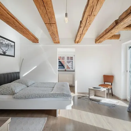 Ferienwohnung-alte Fachwerkresidenz *
