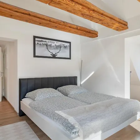 Apartment Ferienwohnung-alte Fachwerkresidenz